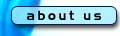 About Dzignlight Studios